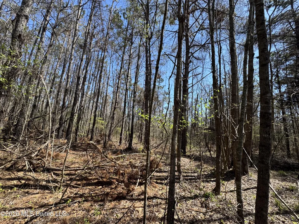 0 Circle Road Lexington, MS 39095