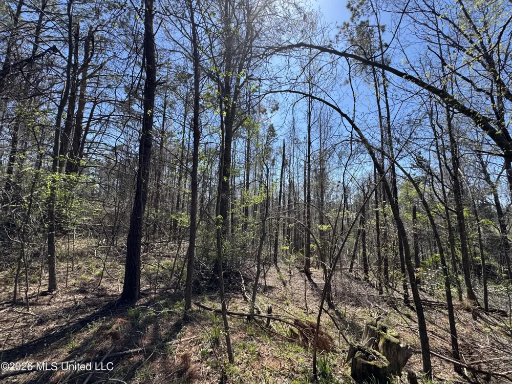 0 Circle Road Lexington, MS 39095