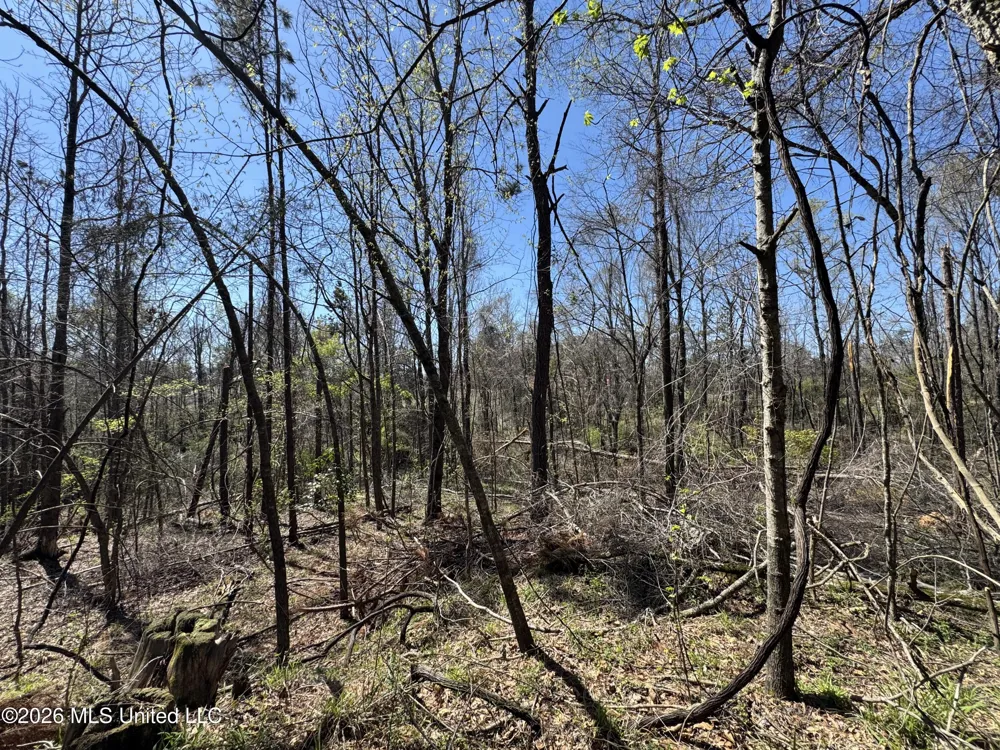 0 Circle Road Lexington, MS 39095
