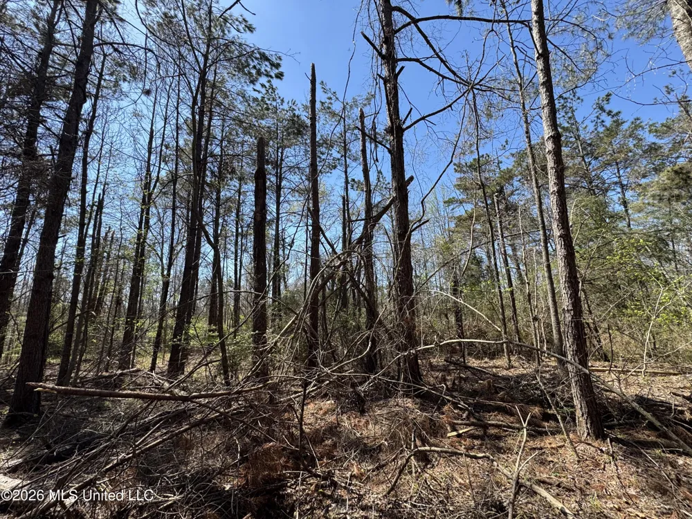 0 Circle Road Lexington, MS 39095
