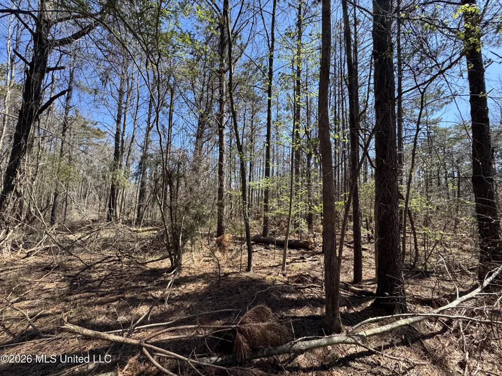 0 Circle Road Lexington, MS 39095