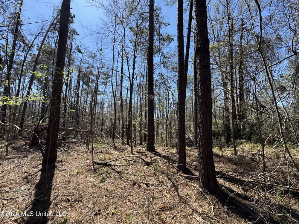 0 Circle Road Lexington, MS 39095