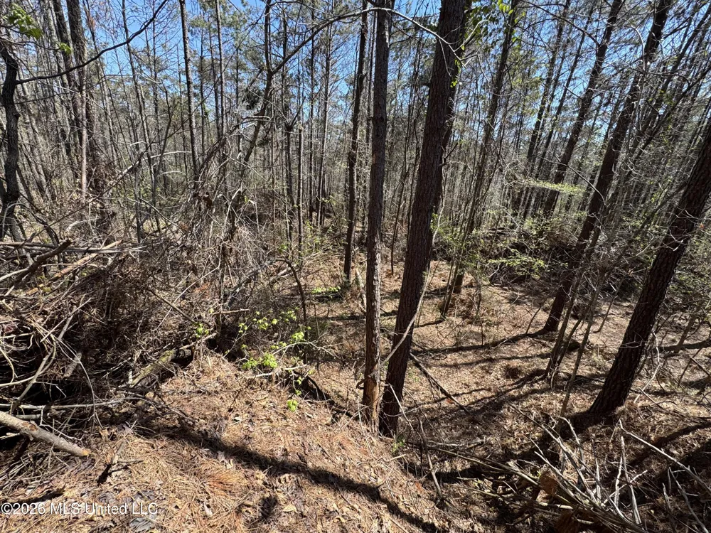 0 Circle Road Lexington, MS 39095