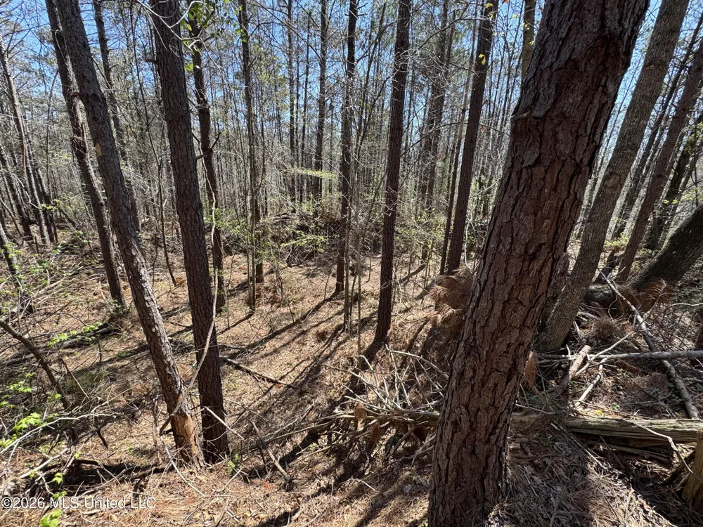 0 Circle Road Lexington, MS 39095