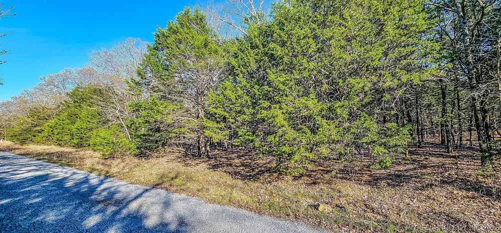 14 Larry Drive Crowder, OK 74501