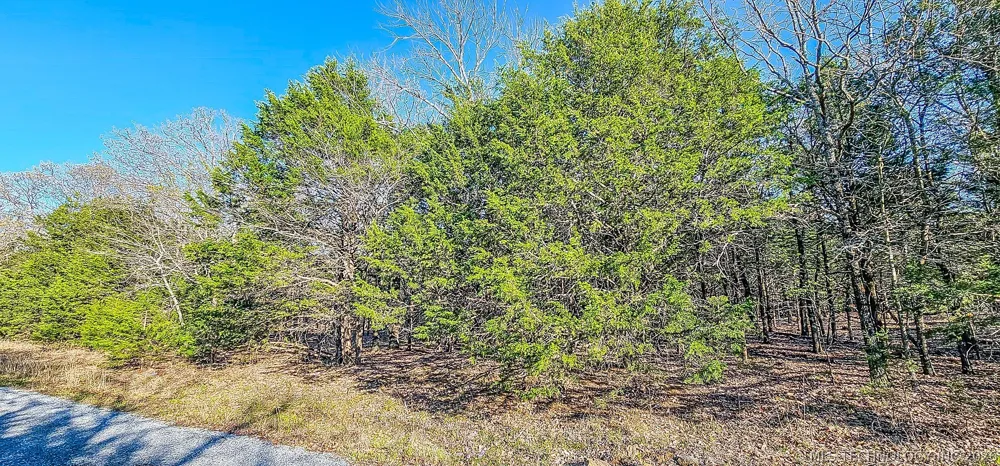 14 Larry Drive Crowder, OK 74501