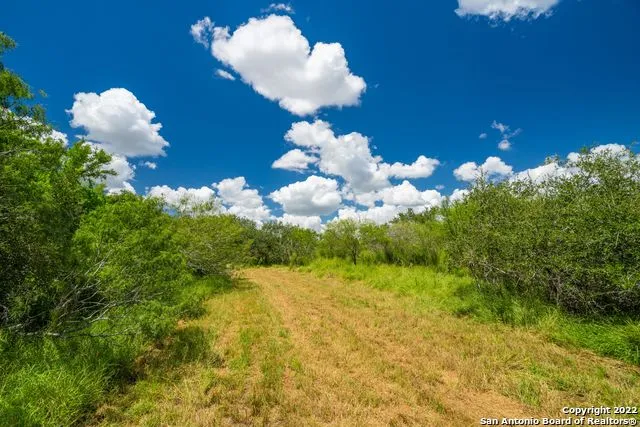 9815 US-181N Skidmore, TX 78389