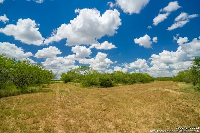 9815 US-181N Skidmore, TX 78389