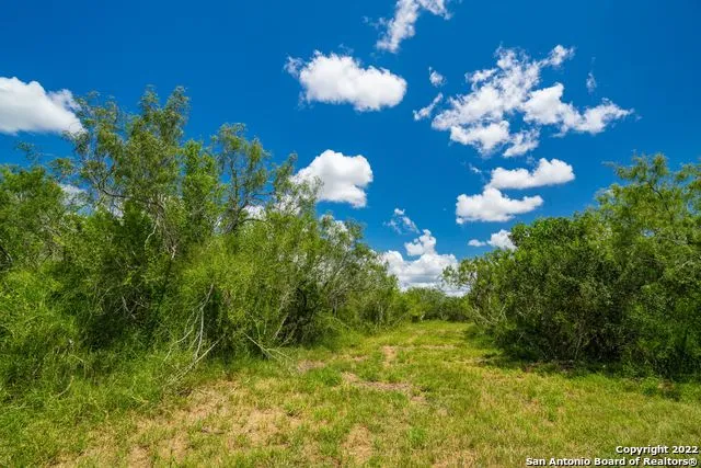 9815 US-181 N Skidmore, TX 78389