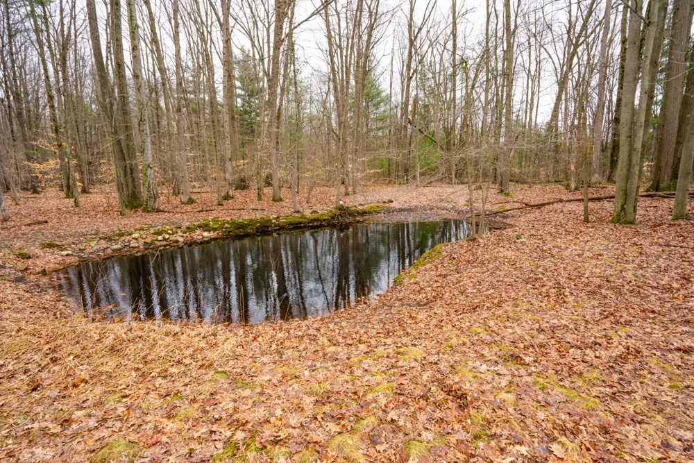 4202 E Pontaluna Road Fruitport Charter Township, MI 49415