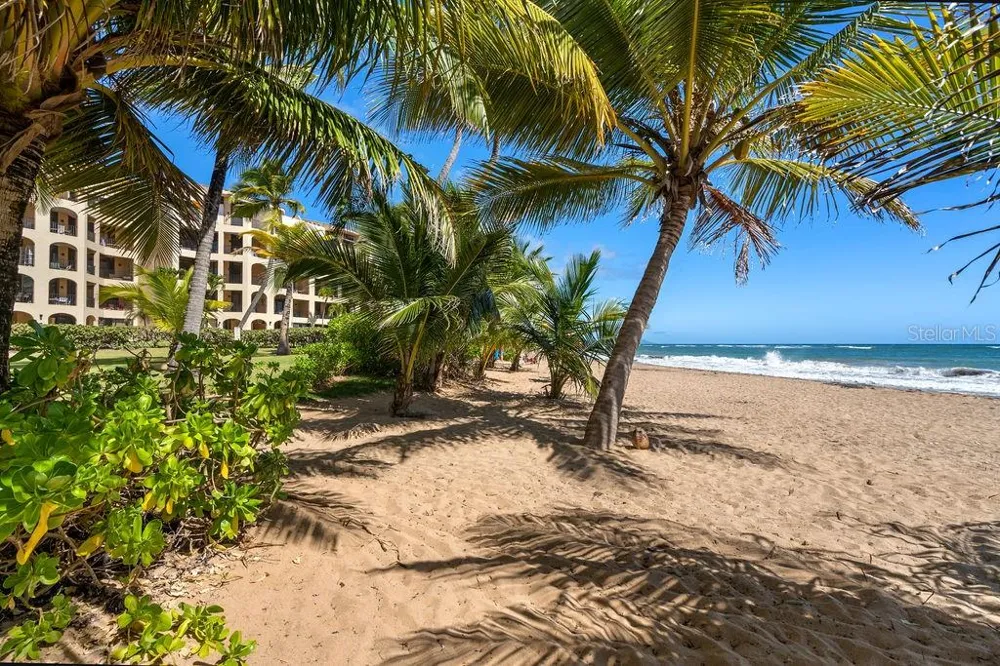 190 CANDELERO DRIVE #175 Humacao, PR 00791