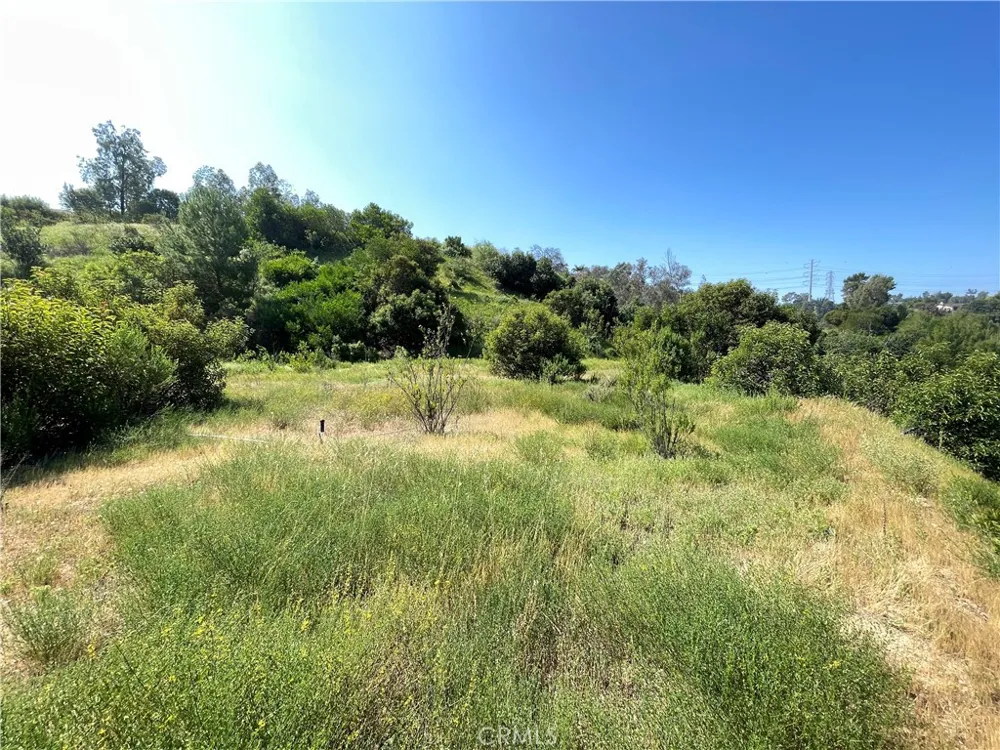 3339 Viewfield Ave Hacienda Heights, CA 91745