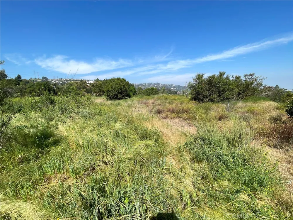 3339 Viewfield Ave Hacienda Heights, CA 91745