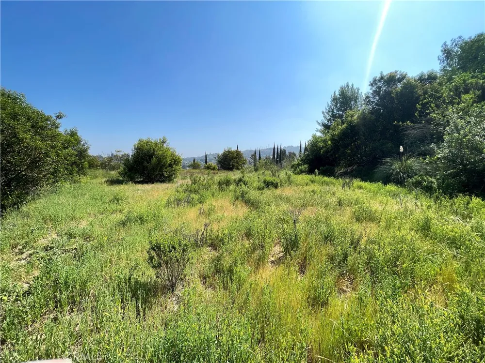 3339 Viewfield Ave Hacienda Heights, CA 91745