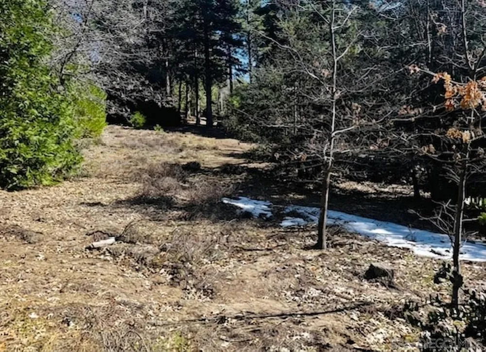 Laurel Trail Idyllwild, CA 92549