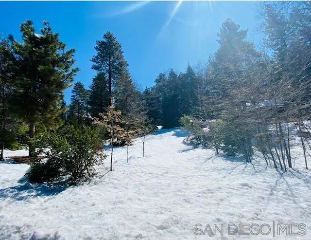 Laurel Trail Idyllwild, CA 92549