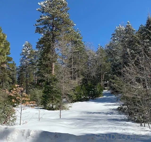 Laurel Trail Idyllwild, CA 92549