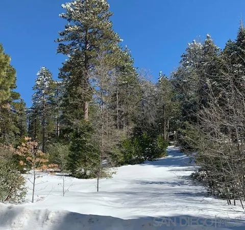 Laurel Trail