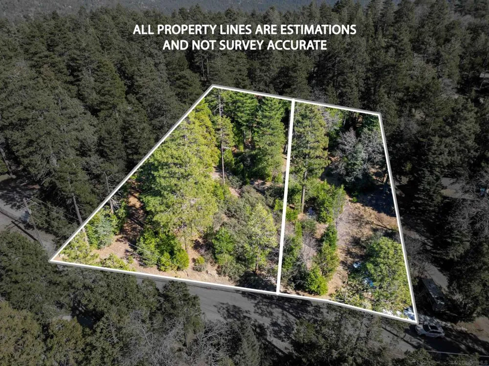 Laurel Trail Idyllwild, CA 92549