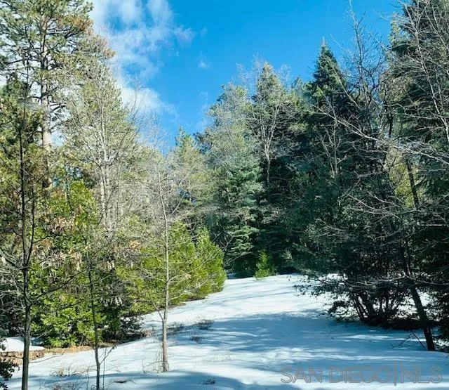 Laurel Trail Idyllwild, CA 92549