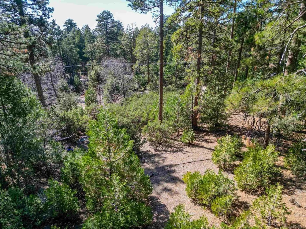 Laurel Trail Idyllwild, CA 92549