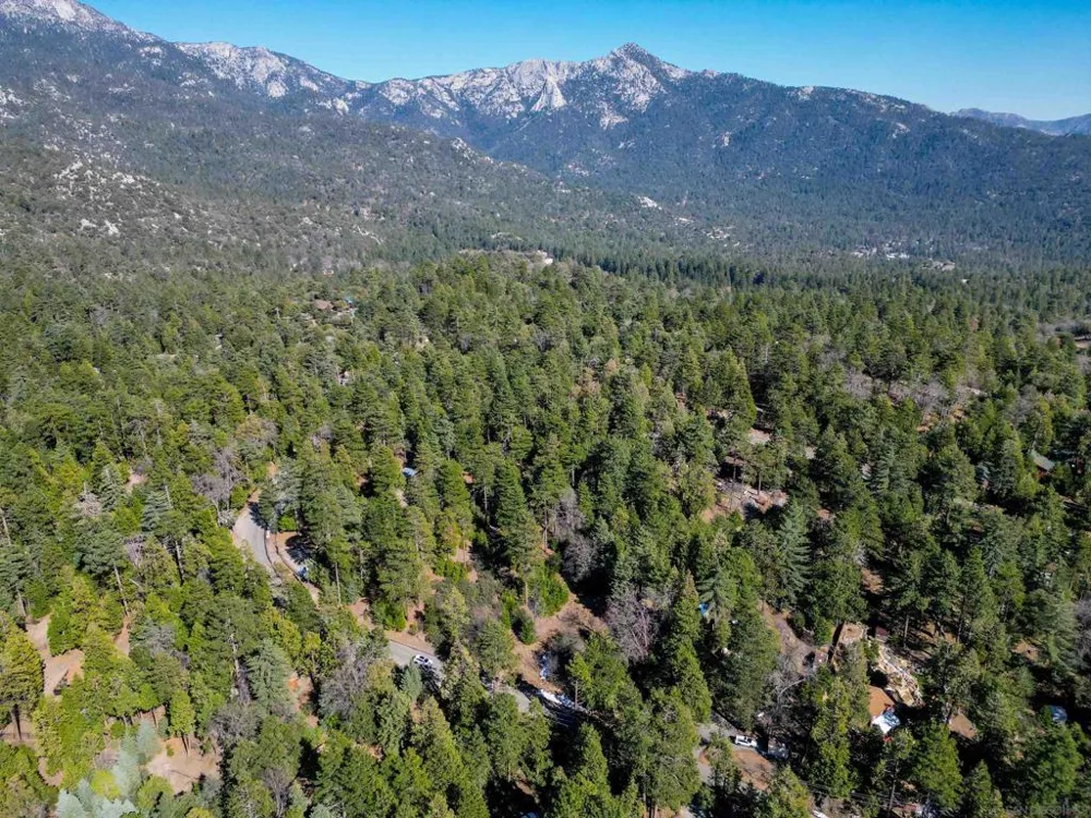 Laurel Trail Idyllwild, CA 92549