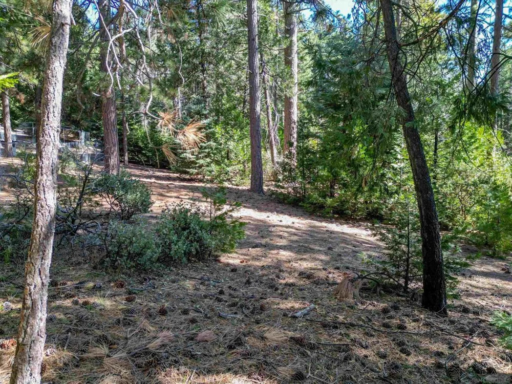 Laurel Trail Idyllwild, CA 92549