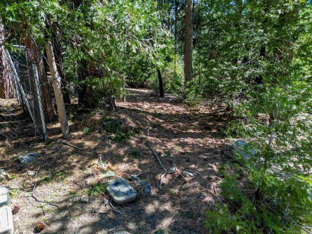 Laurel Trail Idyllwild, CA 92549