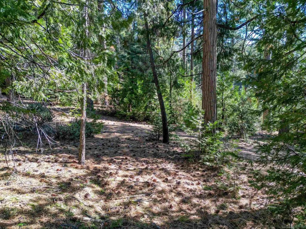 Laurel Trail Idyllwild, CA 92549