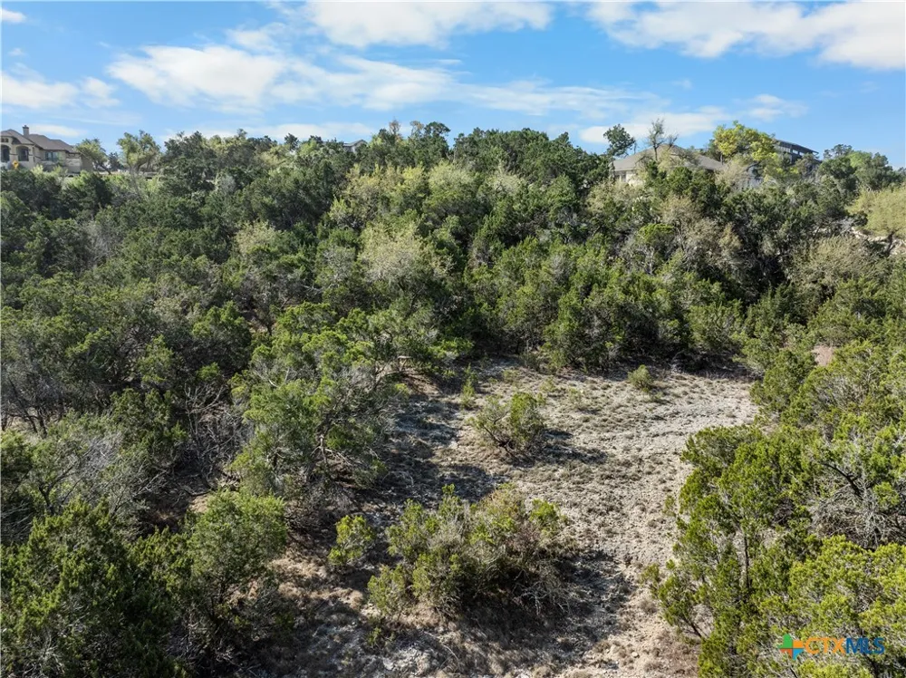 1479 Merlot New Braunfels, TX 78132