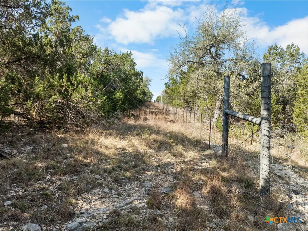 1479 Merlot New Braunfels, TX 78132