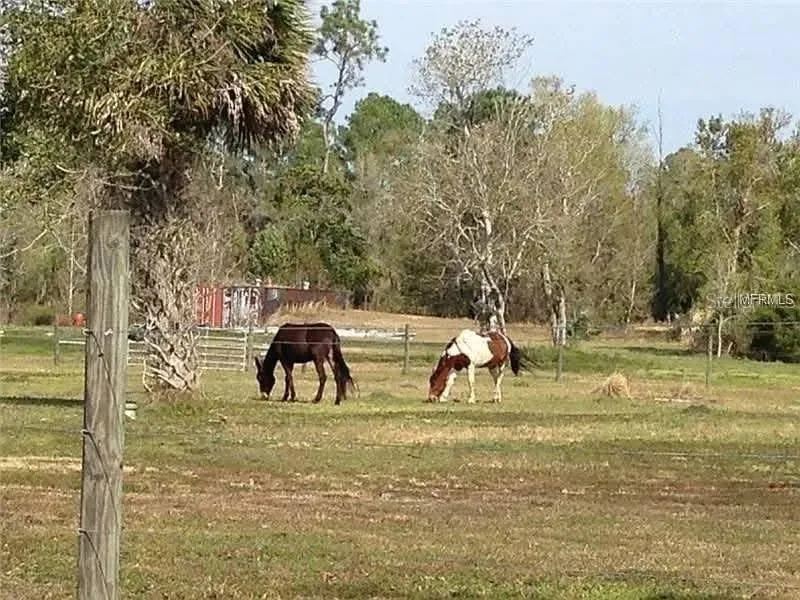 54523 ASTOR TRANSFER STATION ROAD Astor, FL 32102