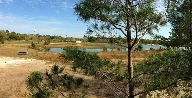 54523 ASTOR TRANSFER STATION ROAD Astor, FL 32102