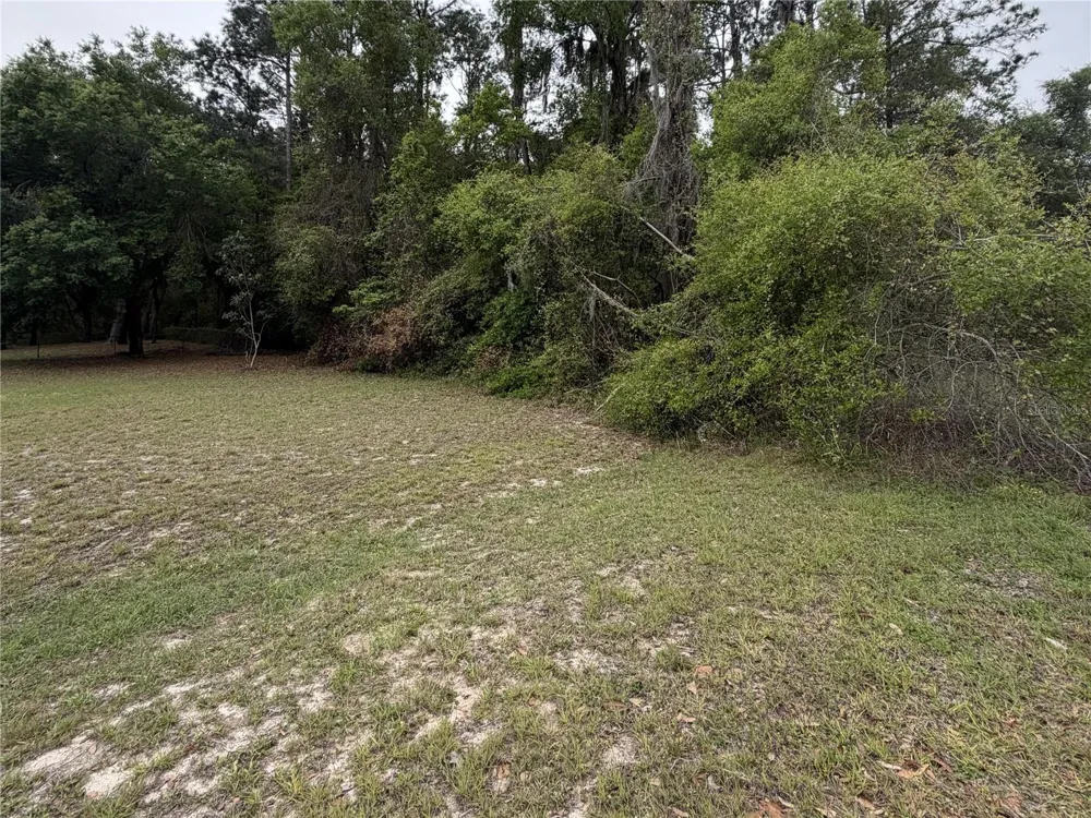 24615 SE 101ST AVENUE Hawthorne, FL 32640