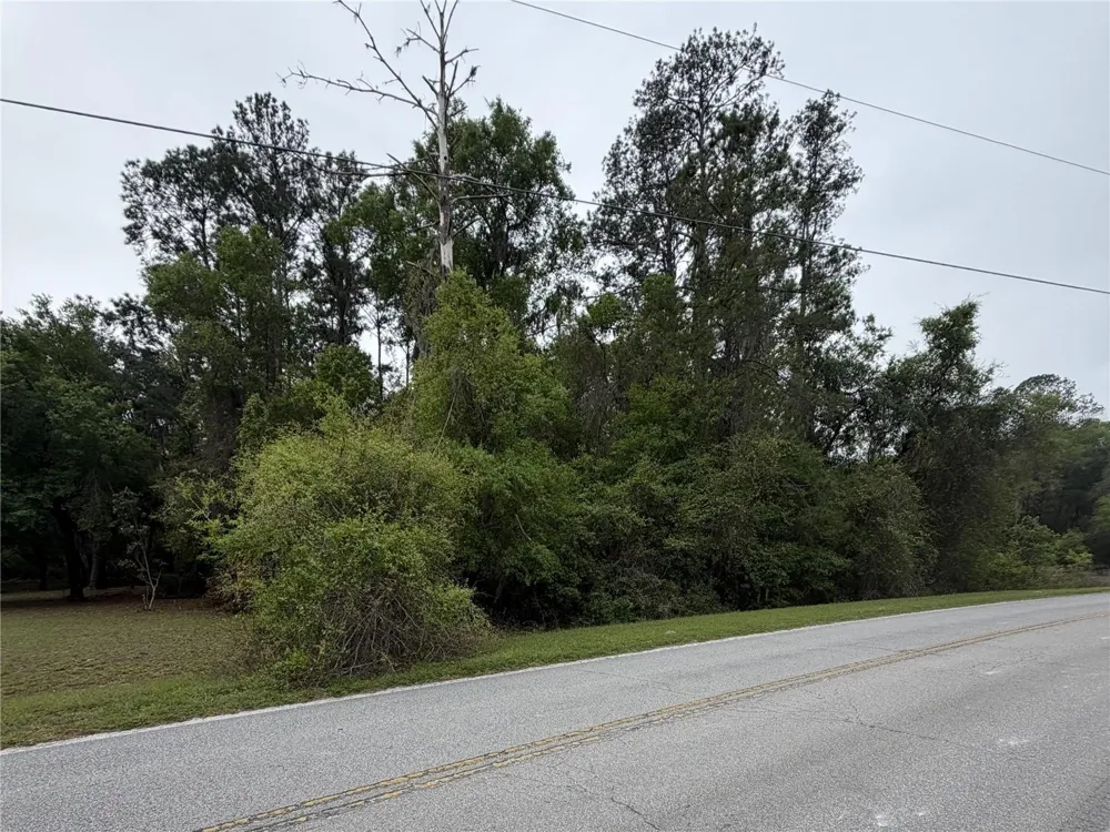 24615 SE 101ST AVENUE Hawthorne, FL 32640