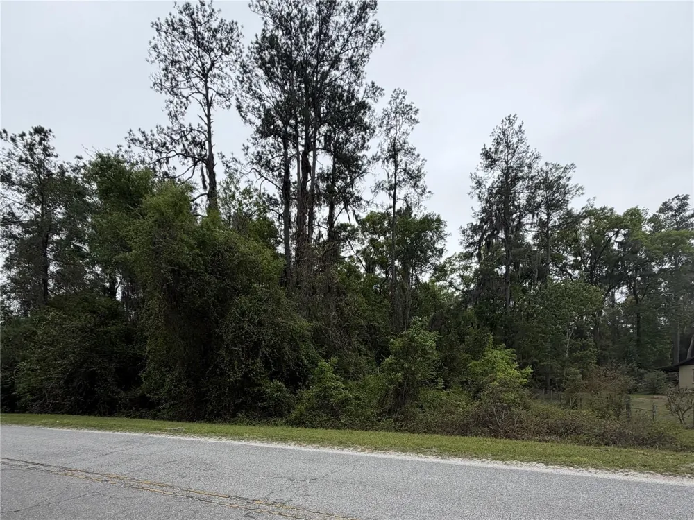 24615 SE 101ST AVENUE Hawthorne, FL 32640