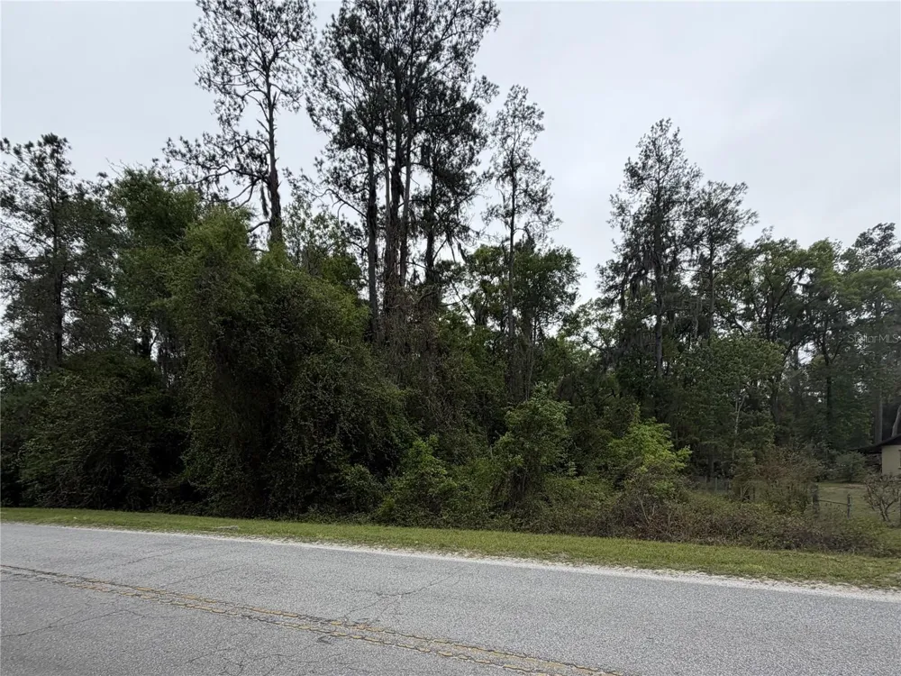 24615 SE 101ST AVENUE Hawthorne, FL 32640