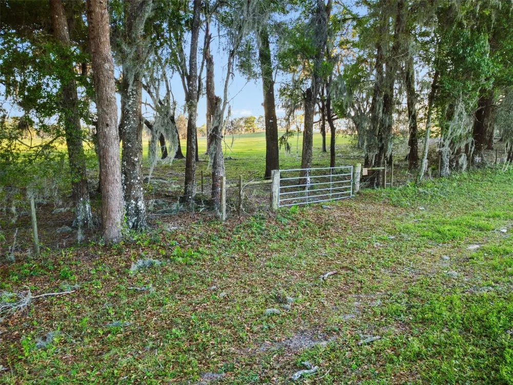 0 W CR 476 Bushnell, FL 33513