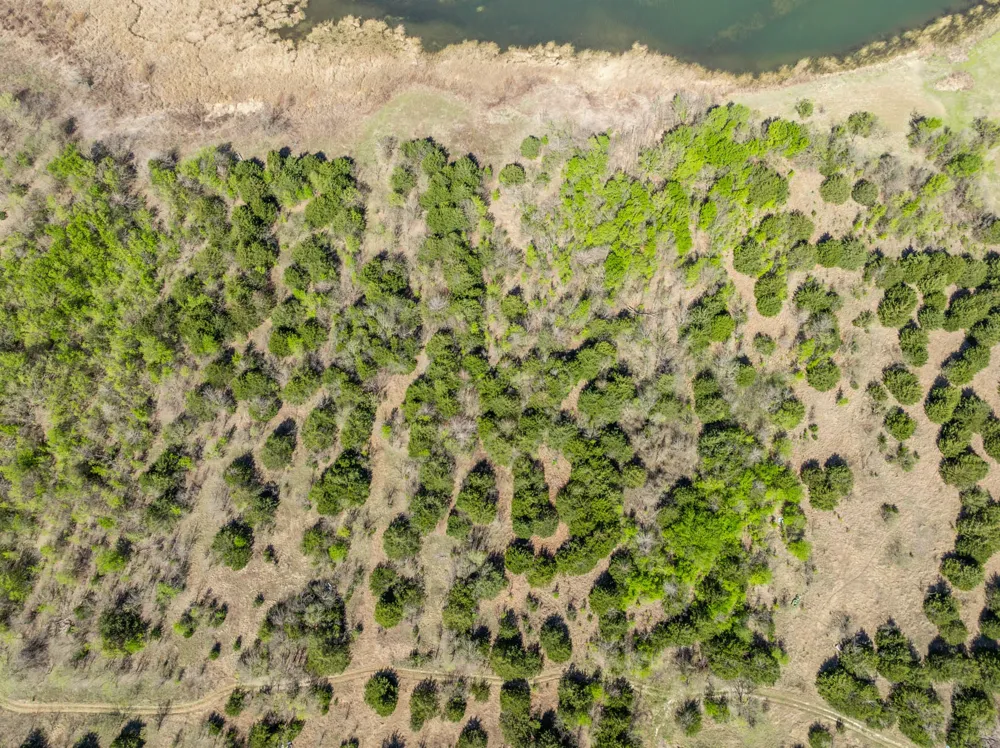 930 Lakeside Drive Avalon, TX 76623