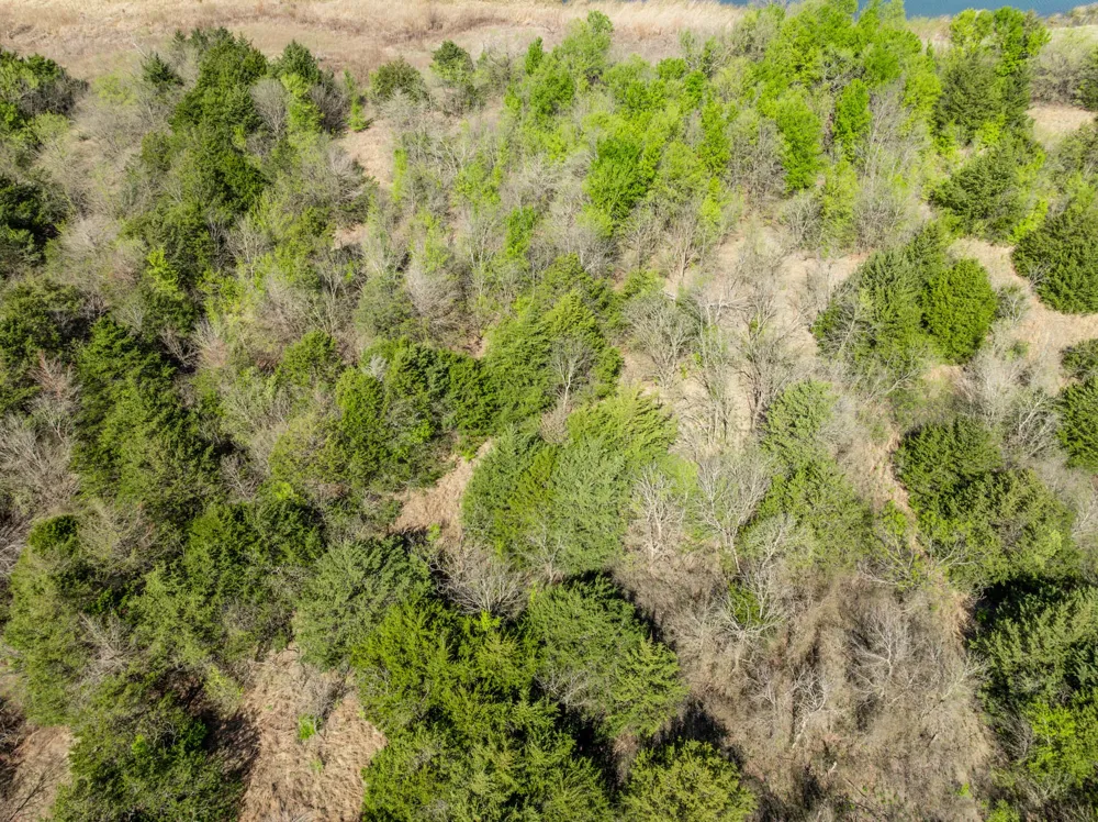 930 Lakeside Drive Avalon, TX 76623