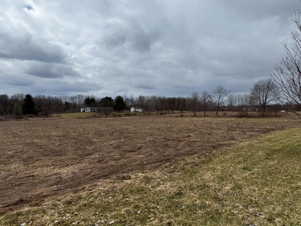 608 E The Lane Grant, MI 49327