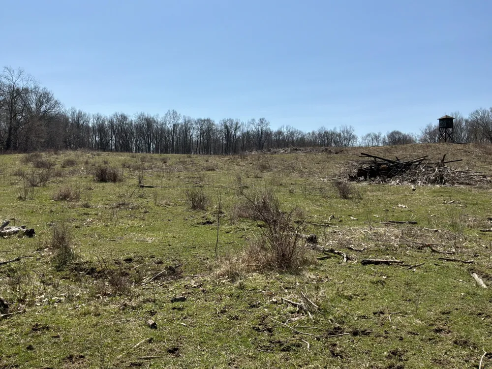 VL Wellman Rd Parma, MI 49269