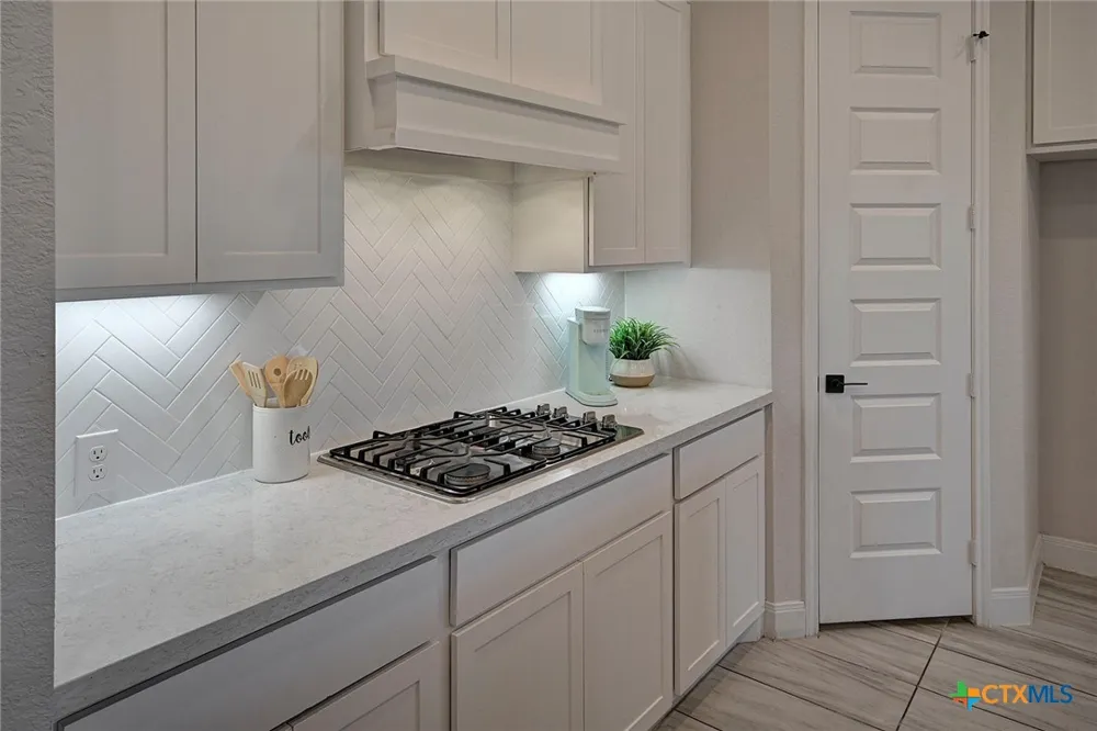 24118 Sidehill Lie San Antonio, TX 78261