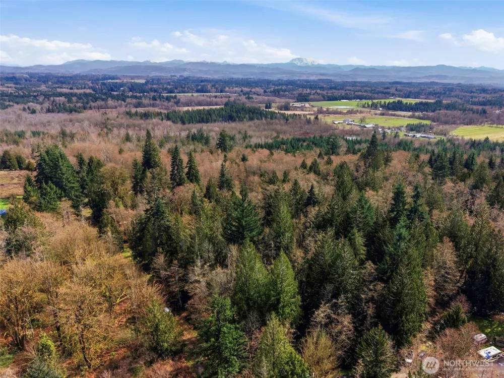 0 XXX S Prairie Road Napavine, WA 98532