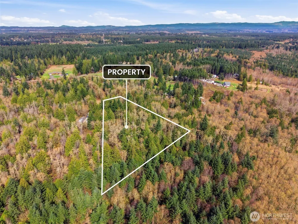 0 XXX S Prairie Road Napavine, WA 98532