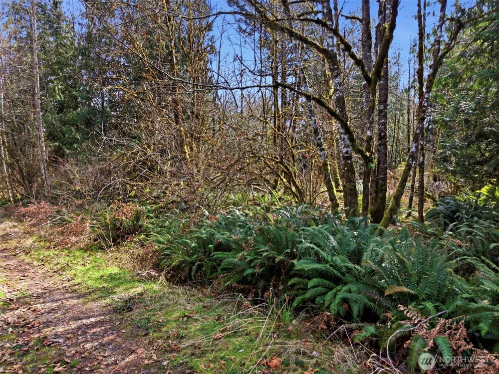 0 XXX S Prairie Road Napavine, WA 98532