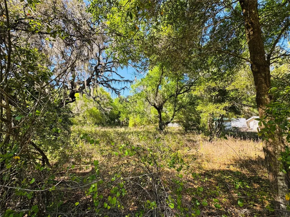 11340 BESSIE DIX ROAD Seffner, FL 33584