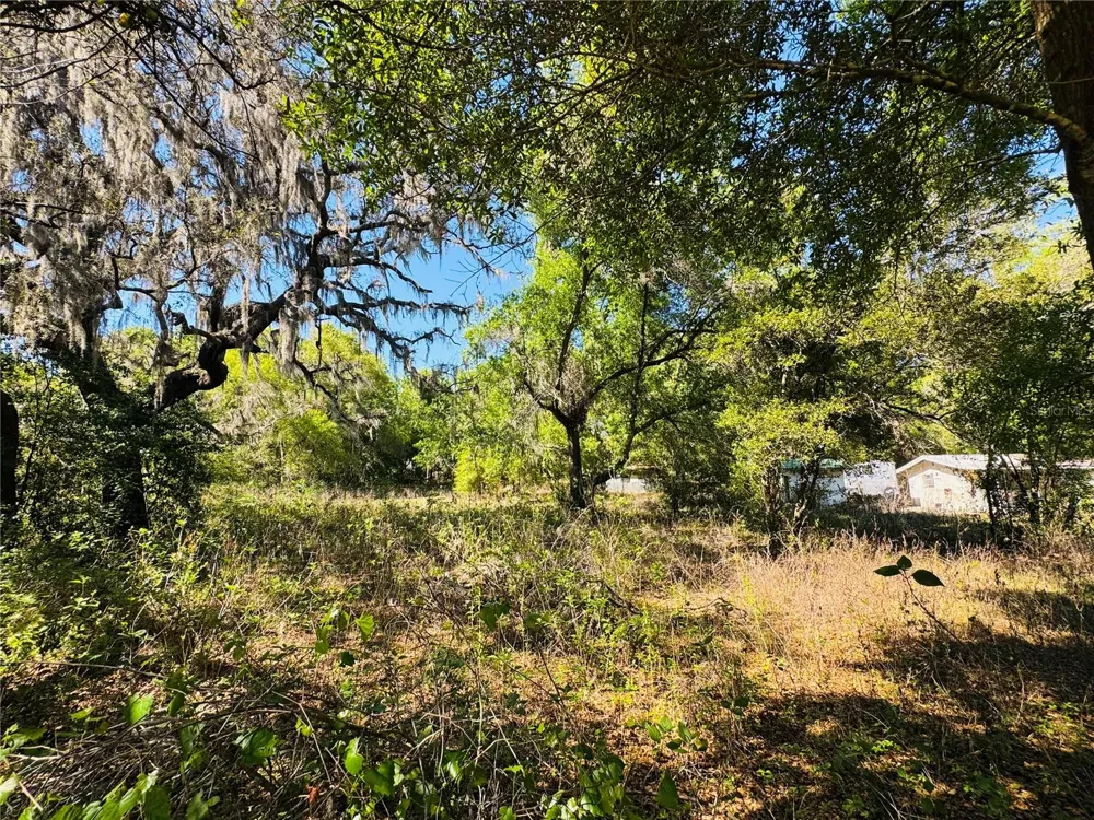 11340 BESSIE DIX ROAD Seffner, FL 33584