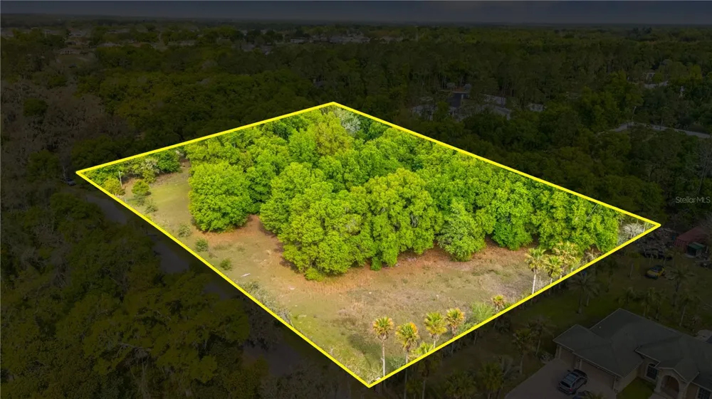 11340 BESSIE DIX ROAD Seffner, FL 33584