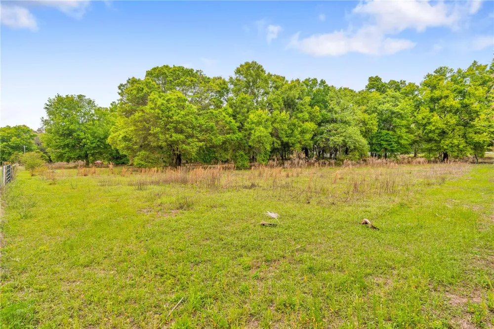 11340 BESSIE DIX ROAD Seffner, FL 33584
